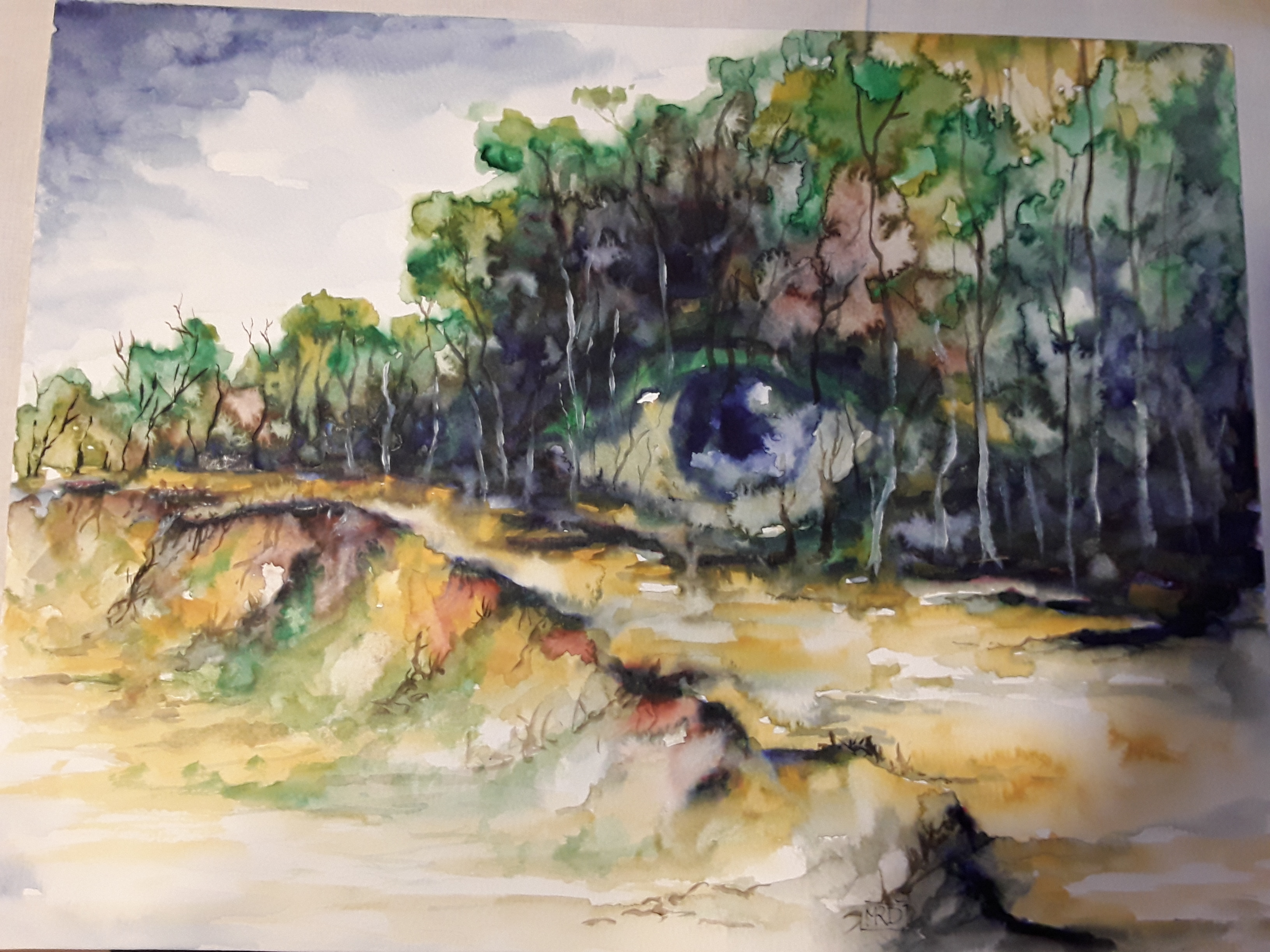 Aquarell Auge der Natur.jpg